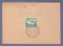 British-American Bizone Blanko Postkarte - SST  200 Geburtstag Goethes Im Grossen Hirschgraben -   (HTTNGR-004) - Covers & Documents