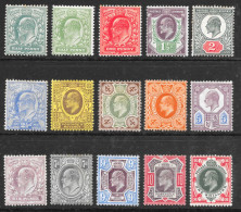 KEVII 1902-13 SG215-314 ½d-1s Set (15) Mounted Mint - Neufs