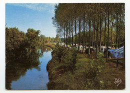 Pyrénées-Atlantiques - Saint Palais - La Bidouze Avec Le Camping Municipal - Saint Palais