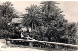 MONACO -- MONTE CARLO -- CPA Précurseur -- Groupe De Palmiers - Les Jardins - Terraces