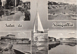 SALUTI DA SENIGALLIA - F.G. - Senigallia