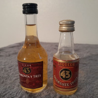 MIGNONNETTES LIQUEUR QUARANTE TROIS - Miniflesjes