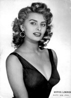 Thème Spectacle  Photo   Cinéma.   Sophia Loren     16.5 X 23          (voir Scan) - Europa