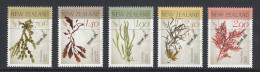 New Zealand 2014 - Native Seaweeds - Set+m/s - MNH ** - Unused Stamps