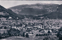 Wilderswil BE, Chemin De Fer (1676) - Wilderswil