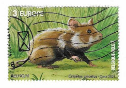 380 TPE - BELGIQUE -  2023 CRICETUS Cricetus-Conz - EUROPE - Europa  (Oblitéré) - Gebraucht