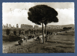 1958 - ROMA - VIA APPIA  ANTICA  -  ITALIE - Stadien & Sportanlagen