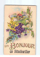 BISCHWILLER : Carte Souvenir - Très Bon état - Bischwiller