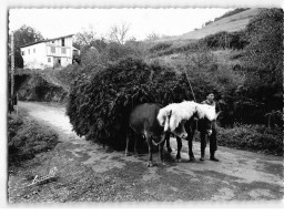 BIRIATOU : Un Attelage En Pays Basque - Très Bon état - Biriatou