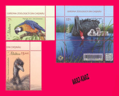 MOLDOVA 2023 Nature Fauna Animals Birds Bird Parrot Emu Ostrich Swan Chisinau ZOO 2v+s-s MNH - Zwanen