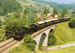 CPM - L - SUISSE - CANTON DE ZURICH - DVZO DAMPFZUG AUF BOLVIADUKT OB BAUMA - LOCOMOTIVE BAUJAHR 1901 - 1913 - St. Anton