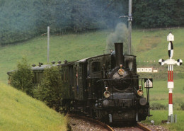 CPM - L - SUISSE - CANTON DE ZURICH - DVZO DAMPFZUG BEIM EINFAHRTSSIGNAL BARETSWILL - LOCOMOTIVE BAUJAHR 1913 - Bäretswil