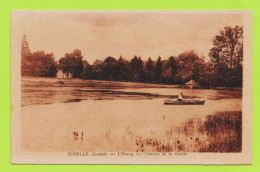 CPA  45 -- NIBELLE --  ETANG DU CHATEAU DE LA GUETTE  - VUE LEGEREMENT SEPIA - BARQUE - Jargeau