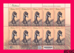 MOLDOVA 2023 Nature Fauna Animals Birds Bird Emu Ostrich Chisinau ZOO M-s MNH - Struisvogels