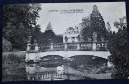 SAINTES  -  Château De Mussain  - Le Château Et Le Pont - Tubize