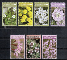 Gibraltar 2014**, Endemische Pflanzen, Sukkulente / Gibraltar 2014, MNH, Endemic Plants, Succulent - Sukkulenten