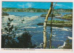 AK 199387 CANADA - New Brunswick - Saint John - The Reversing Falls Rapids - St. John