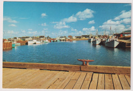 AK 199399 CANADA - Nova Scotia - Cape Breton - Cheticamp - Cape Breton