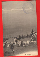 XZM-20  Alpage Le Suchet Alpage Jura Vaudois, Troupeau De Chèvres. Circ. Sous Enveloppe En 1912 Deriaz 2165 - Baulmes