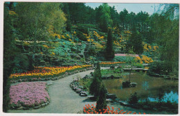 AK 199420 CANADA - Ontario - Hamilton - A Section Of The Famous Rock Gardens - Hamilton