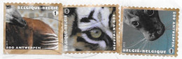 BELGIQUE - LETTRE AVEC TIMBRES PHOQUE, TIGRE, OKAPI ( NON DENTELES COTSE GAUCHE VERTICAL ) ZOO D ANVERS, A VOIR - Briefe U. Dokumente