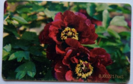 China Telecom Y30 Chip Card - China Flowers  Peony - China