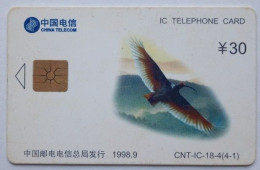 China Telecom Y30 Chip Card - Crested Ibis ( 4-1 ) - China