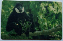 China Telecom Y30 Chip Card - Monkey ( 4-2 ) Hylobateslar - China