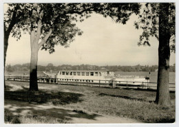 NEURUPPIN   RUPPINER  SEE   (VIAGGIATA) - Neuruppin