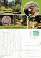 Ueckermünde Tierpark Ansichtskarte G1982 - Ueckermuende