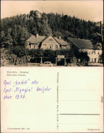 Ansichtskarte Rosenthal-Rosenthal-Bielatal Ottomühle 1937 - Rosenthal-Bielatal