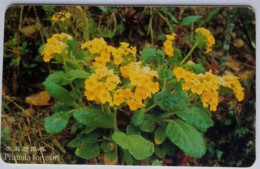 China Telecom Y30 Chip Card - Alpine Plants ( 5- 1 ) - Cina