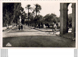 ALGERIE  LAGHOUAT  La Grande Place  ..... - Laghouat