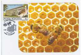 MAX 26 - 216 HONEYBEE, Romania - Maximum Card - 2010 - Abeilles