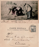 ARGENTINA 1904 POSTCARD SENT TO BUENOS AIRES - Storia Postale