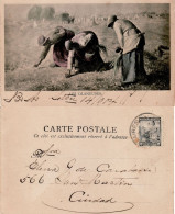 ARGENTINA 1904 POSTCARD SENT TO BUENOS AIRES - Cartas & Documentos