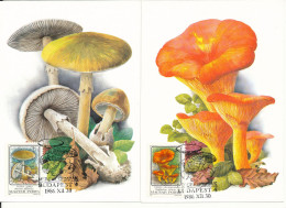 Hungary Mushrooms Maximum Card Budapest 30-12-1986 Complete Set Of 6 Very Nice Cards - Cartes-maximum (CM)