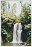 Australia VICTORIA VIC Beauchamp Waterfalls OTWAY NATIONAL PARK Earth Focus OTW4 Postcard C2004 - Otros & Sin Clasificación