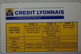 Petit Calendrier De Poche 1993 Banque Crédit Lyonnais - Format Carte Bleue - Petit Format : 1991-00