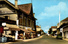 N°40988 Z -cpsm Arès -avenue Du Général De Gaulle- - Arès