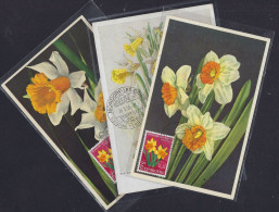 Luxembourg - Luxemburg - Carte Maximum  1955   Narcissus - 3 Cartes - Tarjetas Máxima