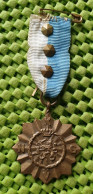 Medaille -  K.N.G.V. -koninklijke Nederlandse Gym Vereniging .-  Original Foto  !! Medallion Dutch - Sonstige & Ohne Zuordnung