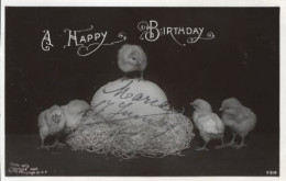 Joyeux Anniversaire : Poussins. Photo De 1908. - Geburtstag