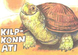 R.Järvi:Turtle Ati, 1981 - Turtles