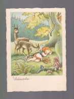 Une Carte Postale Waldmärchen   Carte Non Circulée   Contes Légendes Animaux Enfants  Forêt - Märchen, Sagen & Legenden