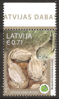 Lettonie Latvija 2015 N° 911 ** Archéologie, Asterolepis Ornata, Asterolepis, Genre éteint, Tortue, Fossile, Poisson - Lettland