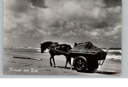 ZUID-HOLLAND - KATWIJK, Schelpenvisser - Katwijk (aan Zee)