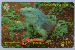 CAYMAN ISLANDS - GPT - Coded Without Control - Grand Cayman Iguana - Used - Kaaimaneilanden