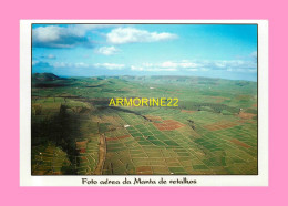 FOTOS AERA DA MANTA DE RETALHOS - Açores