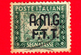 ITALIA - Trieste AMG FTT - Usato - 1949 - Cifra E Decorazioni, Sovrastampa Su Due Righe - Segnatasse - 2 L. - Usati